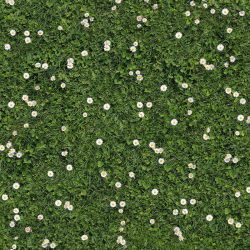 Printed carpet - COUNTRY GARDEN