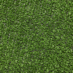 Spring - Meadow Green