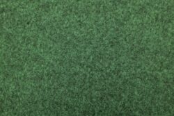 Borneo -1501 - Green