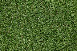 Spring - Meadow Green