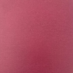 VTSOM15192 / Stage Floor - Raspberry